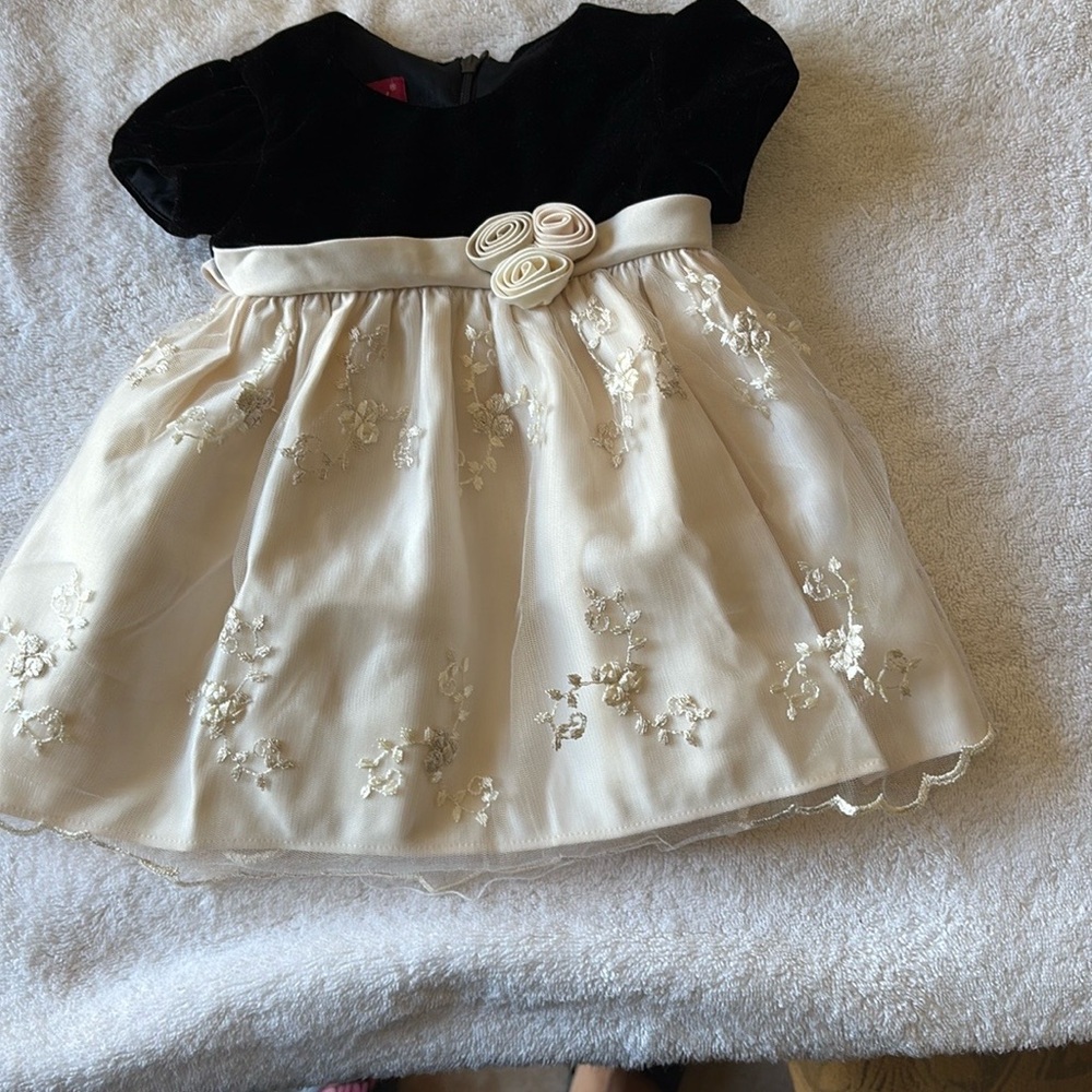 Elegant Black and Cream Cap Sleeve Fit and Flare Dress